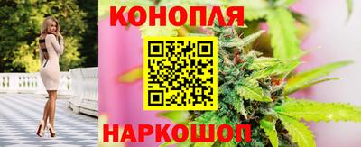 гашик Изобильный