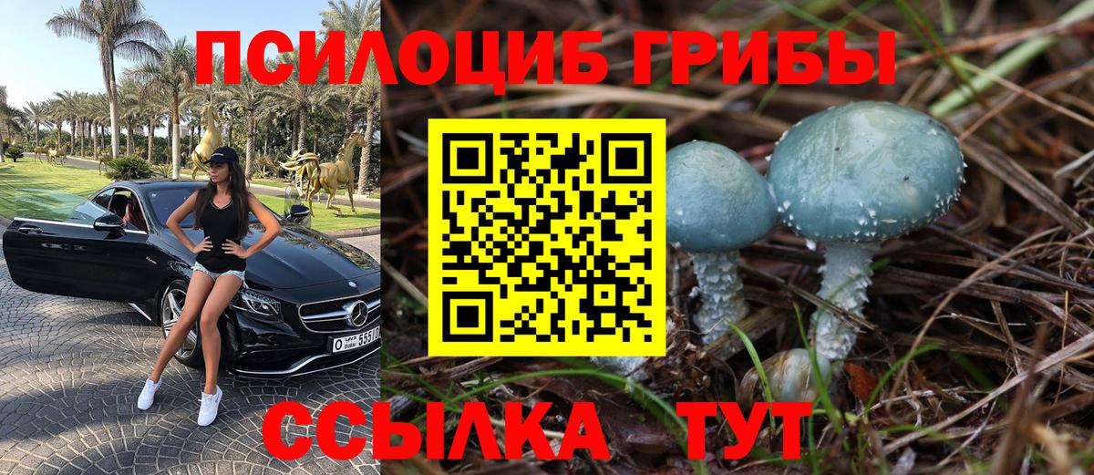 Псилоцибиновые грибы мицелий  Вход с VPN  Псилоцибиновые грибы Cubensis  Лениногорск 