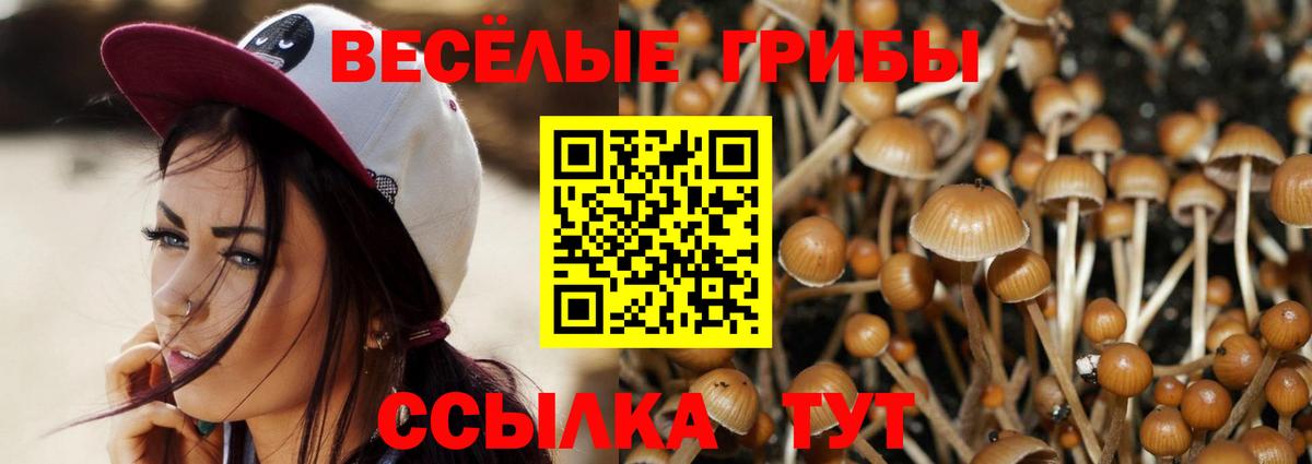 Галлюциногенные грибы Psilocybine cubensis Лениногорск